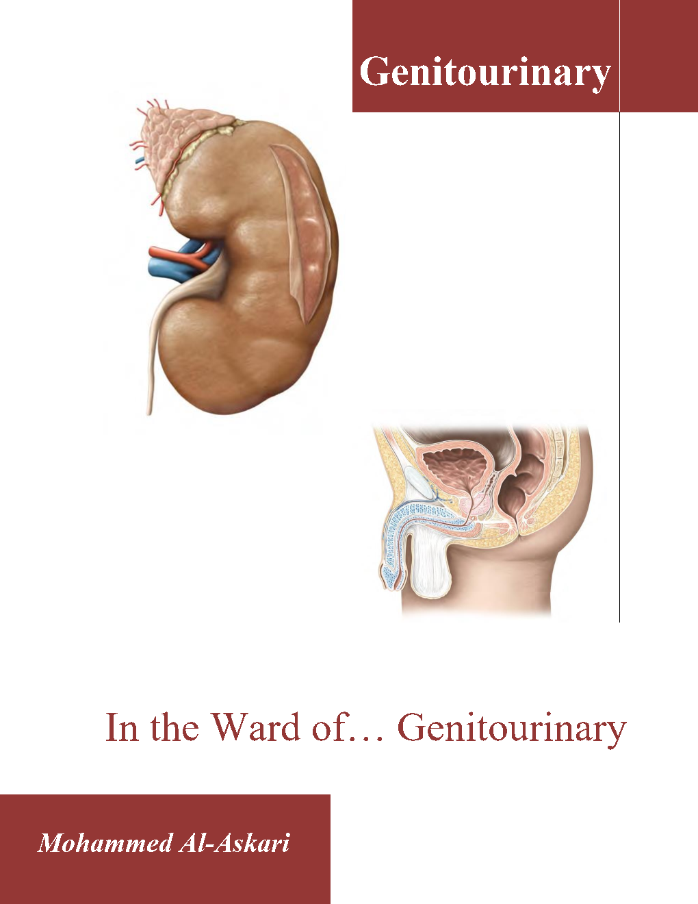Genitourinary